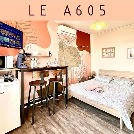 A605 Studio Auxerre Avec Parking Saint-Georges-sur-Baulche Exterior foto